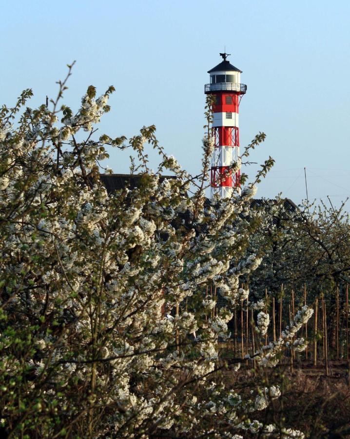 FeWo Blankenese im Haus Lühegarten Grünendeich Exterior foto