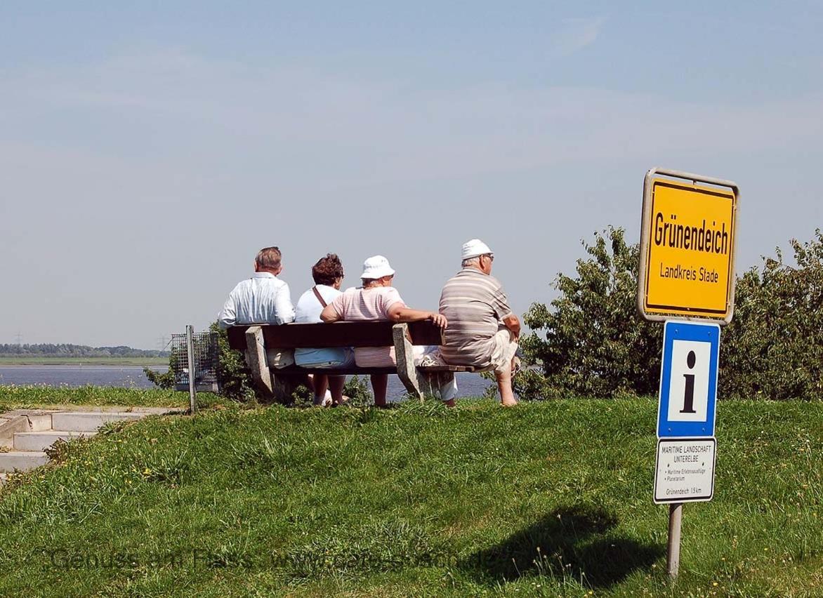 FeWo Blankenese im Haus Lühegarten Grünendeich Exterior foto